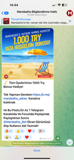 IMG_1278.png